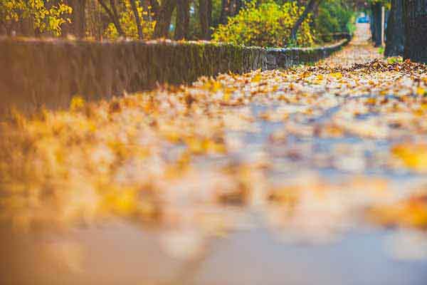 Java踩坑记系列之BigDecimal